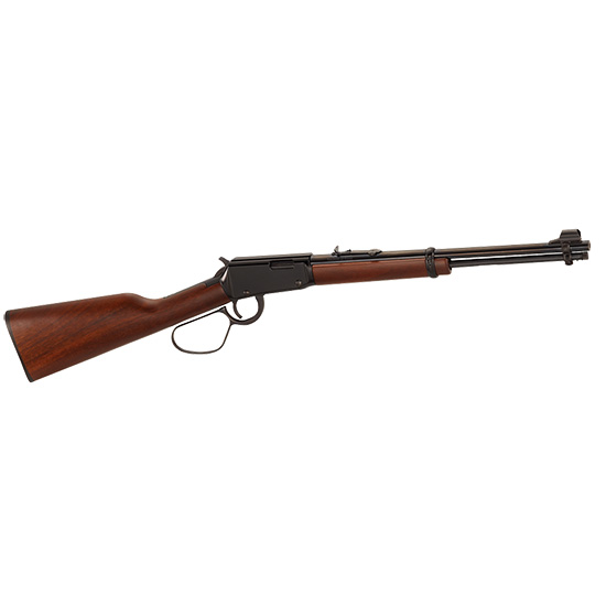 HENRY LARGE LOOP 22LR 16